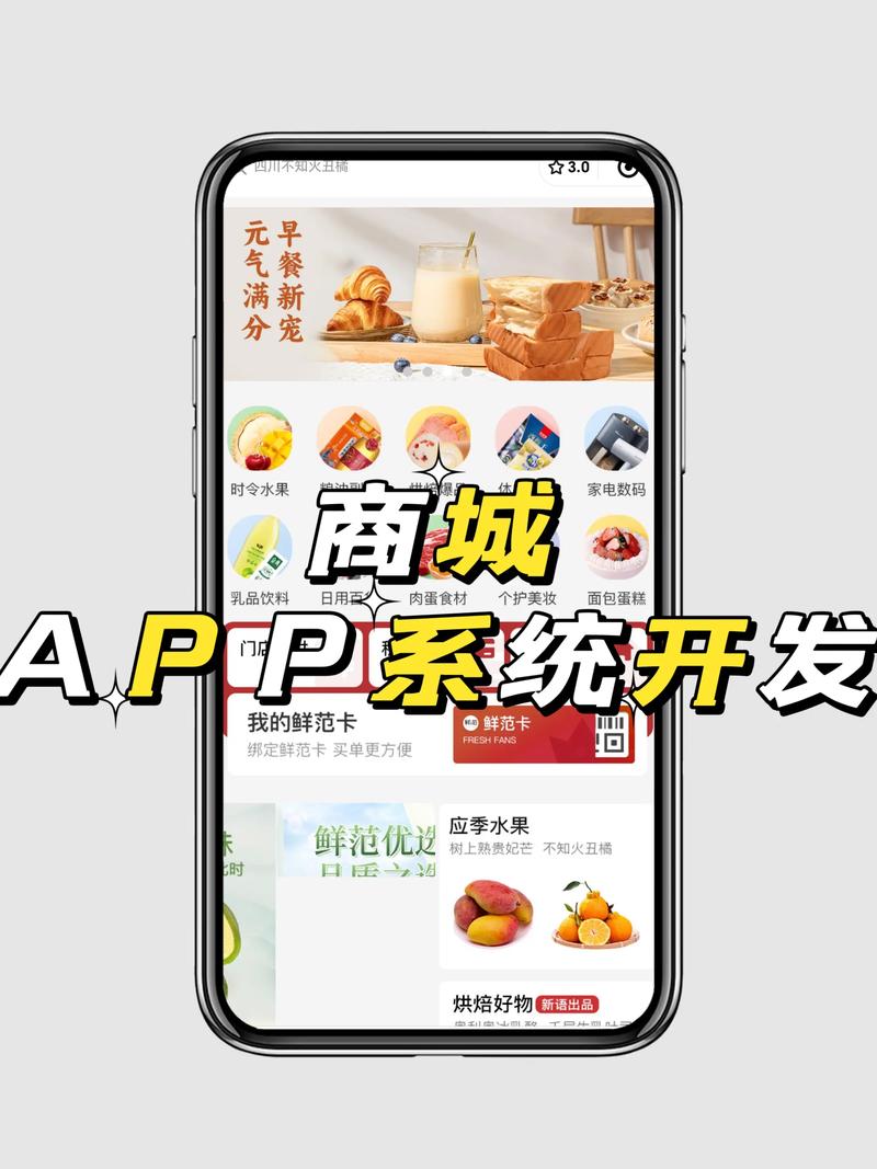 商城系统定制:为您的商业插上腾飞翅膀
